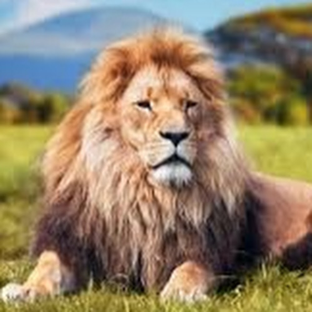 Meet your Posher, Phillip